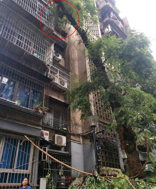 南京護欄